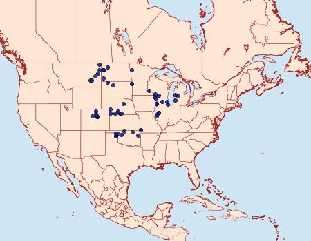 Distribution Data for Hesperia ottoe