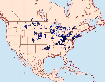 Distribution Data for Hesperia leonardus