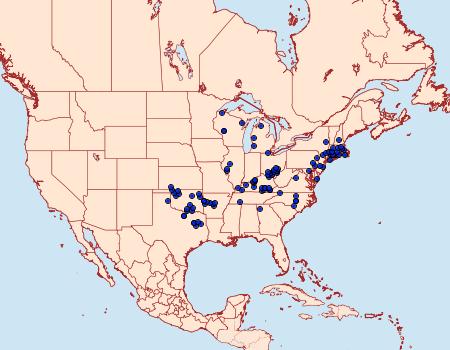 Distribution Data for Hesperia metea