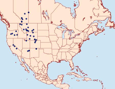 Distribution Data for Hesperia nevada