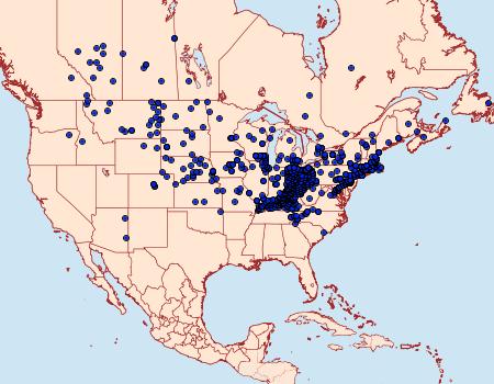 Distribution Data for Polites coras