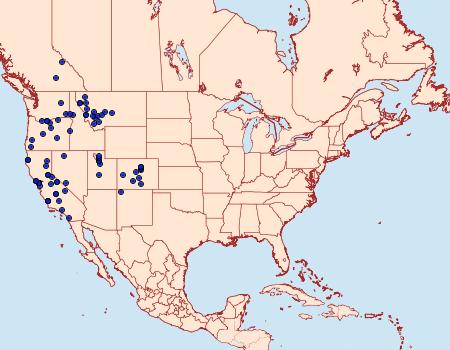 Distribution Data for Polites sabuleti