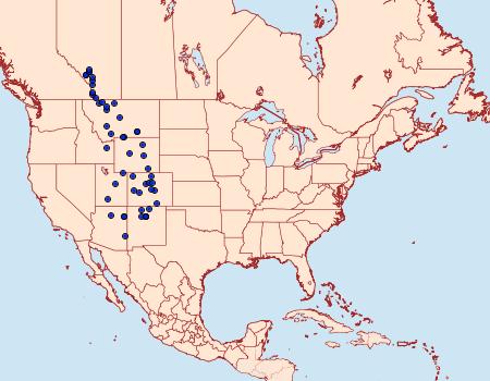 Distribution Data for Polites draco