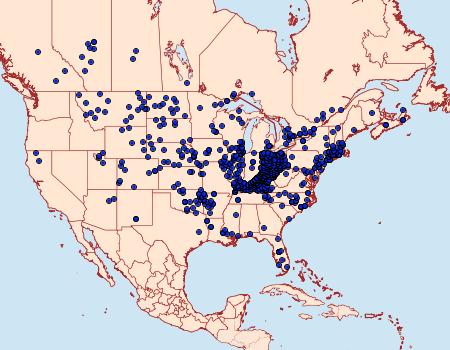 Distribution Data for Polites themistocles