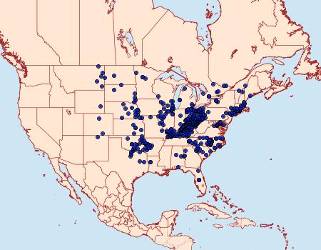 Distribution Data for Polites origenes