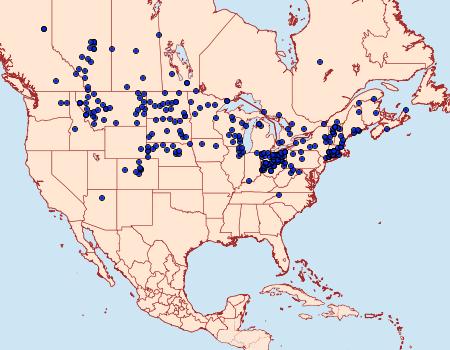 Distribution Data for Polites mystic