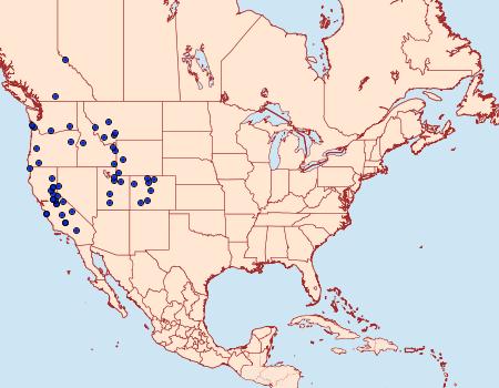 Distribution Data for Polites sonora