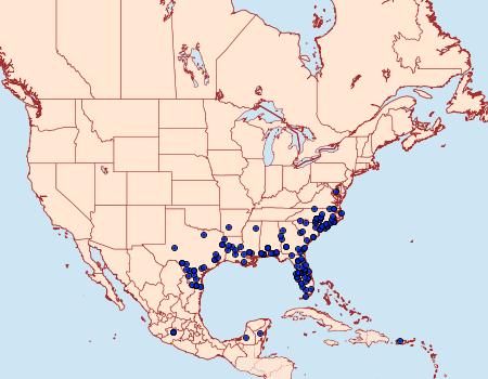 Distribution Data for Polites vibex