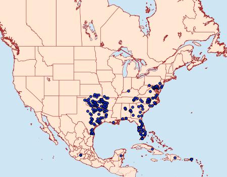 Distribution Data for Polites otho