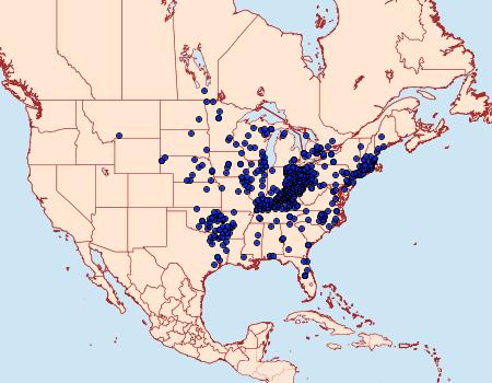 Distribution Data for Polites egeremet