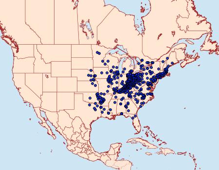 Distribution Data for Vernia verna