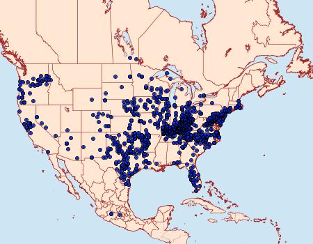 Distribution Data for Atalopedes campestris