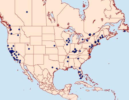 Distribution Data for Tinea pellionella