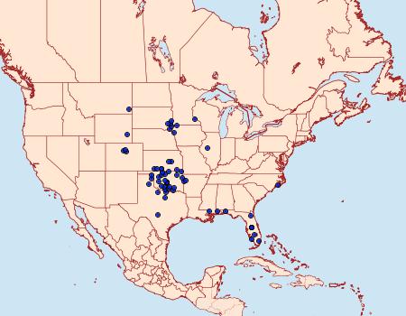 Distribution Data for Atrytone arogos