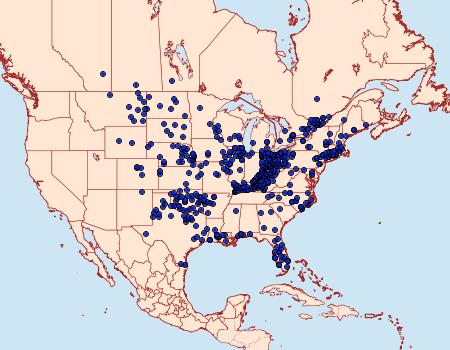 Distribution Data for Anatrytone logan