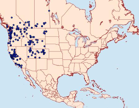 Distribution Data for Ochlodes sylvanoides