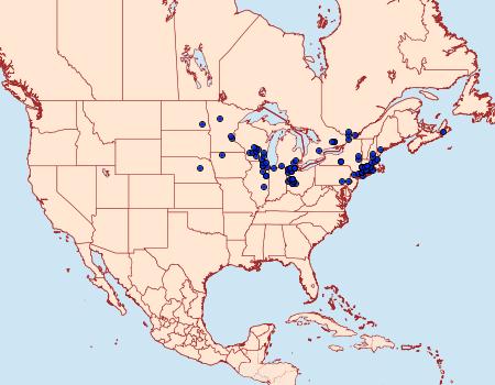 Distribution Data for Poanes massasoit