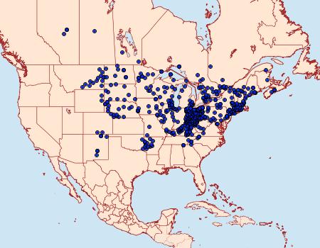 Distribution Data for Lon hobomok