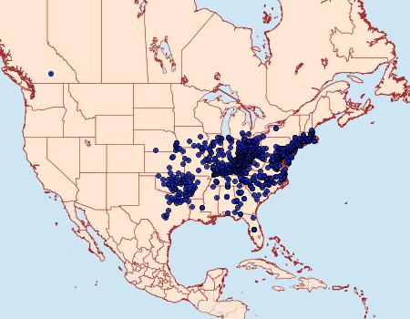 Distribution Data for Lon zabulon