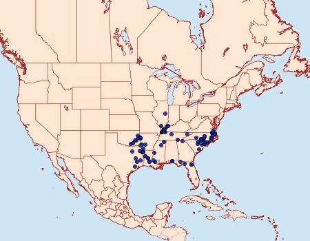 Distribution Data for Poanes yehl