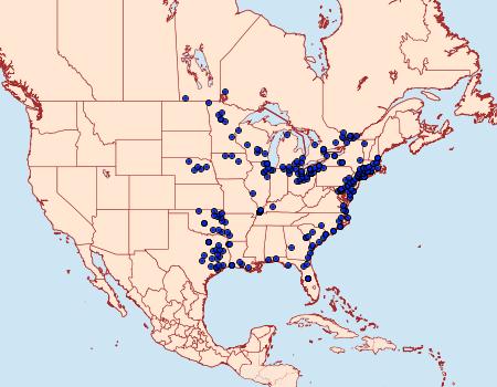 Distribution Data for Poanes viator