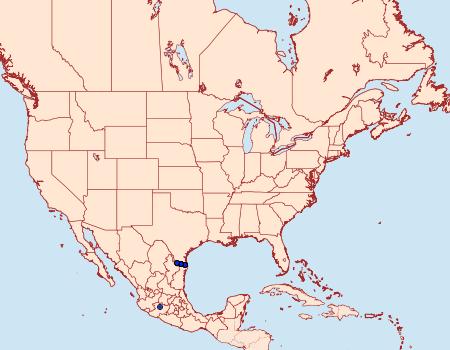 Distribution Data for Quasimellana eulogius