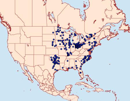 Distribution Data for Euphyes dion