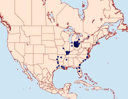 Distribution Data for Euphyes dukesi