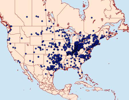 Distribution Data for Euphyes vestris