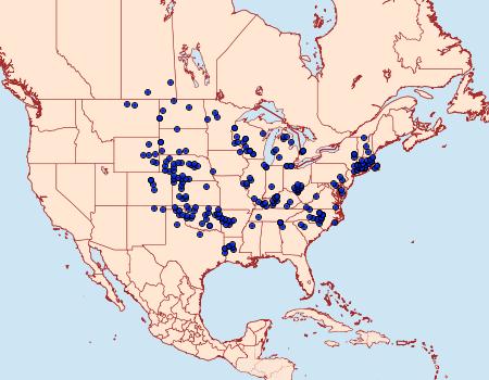 Distribution Data for Atrytonopsis hianna