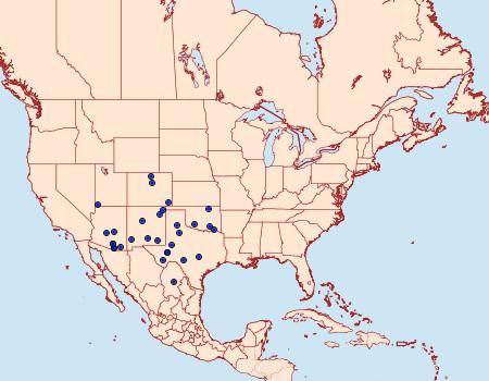 Distribution Data for Amblyscirtes aenus