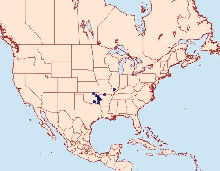 Distribution Data for Amblyscirtes linda