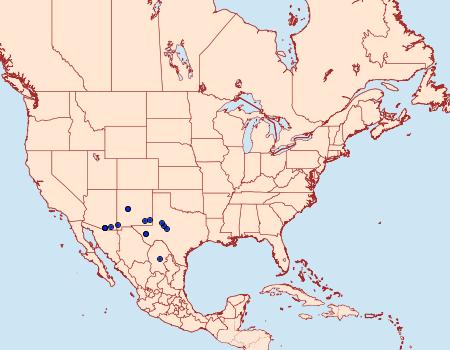 Distribution Data for Amblyscirtes texanae