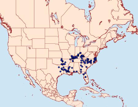 Distribution Data for Amblyscirtes aesculapius