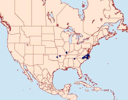 Distribution Data for Amblyscirtes carolina