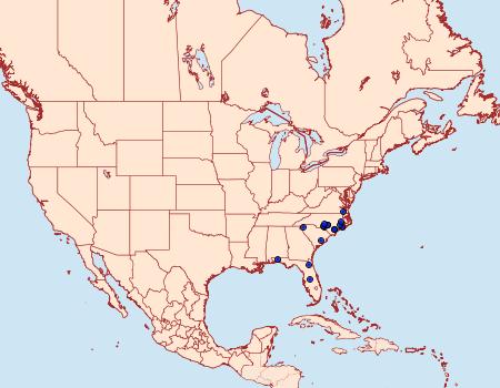 Distribution Data for Amblyscirtes reversa