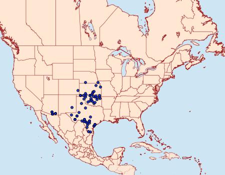 Distribution Data for Amblyscirtes nysa