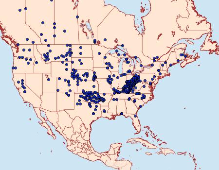 Distribution Data for Amblyscirtes vialis