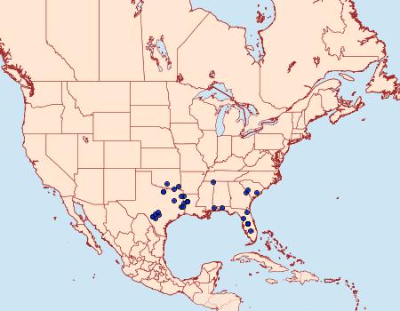 Distribution Data for Amblyscirtes alternata