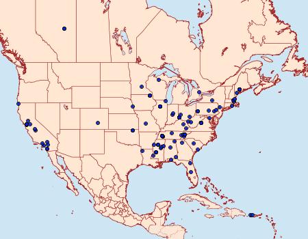 Distribution Data for Niditinea fuscella