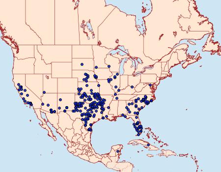 Distribution Data for Lerodea eufala