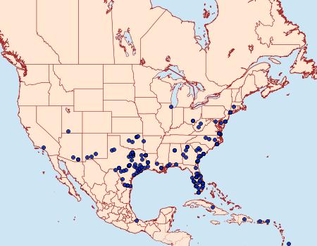 Distribution Data for Calpodes ethlius