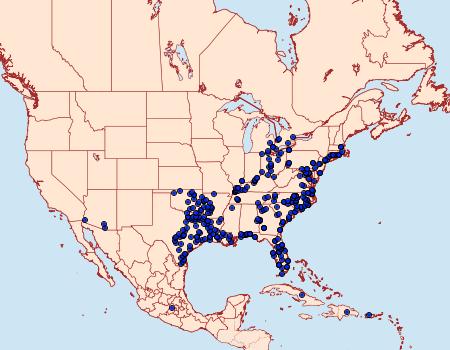 Distribution Data for Panoquina ocola