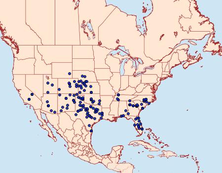 Distribution Data for Megathymus yuccae