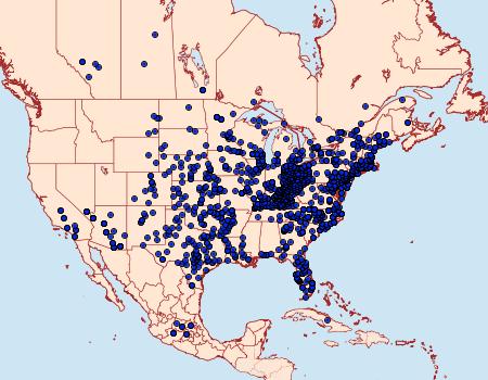 Distribution Data for Papilio polyxenes