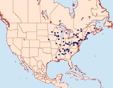 Distribution Data for Monopis dorsistrigella