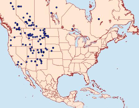 Distribution Data for Papilio machaon