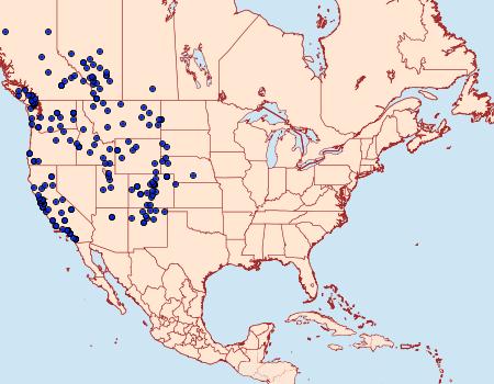 Distribution Data for Papilio zelicaon