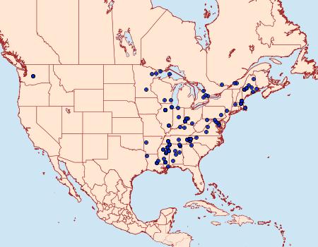 Distribution Data for Monopis marginistrigella