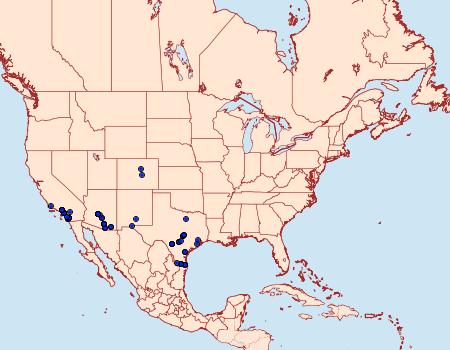 Distribution Data for Heraclides rumiko